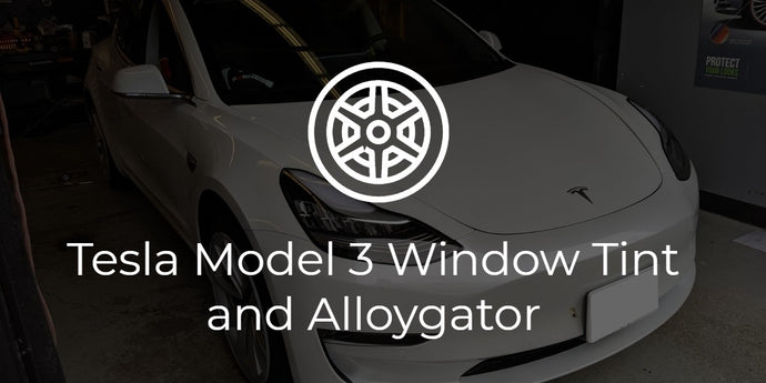 Tesla Model 3 Window Tint and Alloygator Install