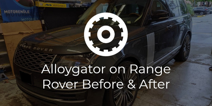 Range Rover Alloygator Replacement (Damage Pictures!)