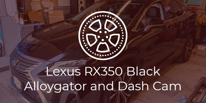 Lexus RX350 with Black AlloyGator and Blackvue