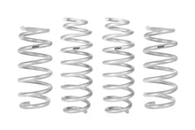 Eibach Springs for Tesla Model 3 & Model Y