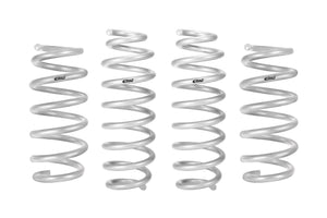 Eibach Springs for Tesla Model 3 & Model Y